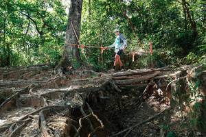 BIB: 
                            <button type="button" onclick="openModal(27799916)" class="btn btn-primary btn-sm float-right btn-popup" data-toggle="modal" data-target=".modal-high-quality">
                        <i class="fas fa-shopping-cart"></i> Add to Cart
                    </button>
                                            <button type="button" onclick="isThisMe(27799916, true)" class="btn btn-success btn-sm float-right btn-popup btn-isme hidden" data-toggle="tooltip" data-placement="bottom" title="นี่คือรูปของคุณใช่ไหม คลิกที่นี่เพื่อเอาเข้าอัลบั้ม">
                        <i class="fas fa-plus"></i> Add to album
                    </button>
                    <button type="button" onclick="isThisMe(27799916, false)" class="btn btn-warning btn-sm float-right btn-popup btn-isnotme hidden">
                        <i class="fas fa-ban"></i> Remove from album
                    </button>